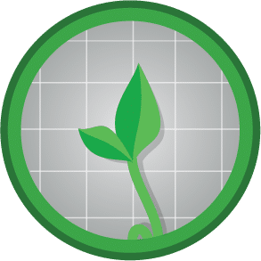 Growth at a Reasonable Price (GARP)
